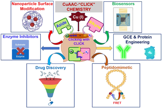 Publication image: Bag*, S. S.; Banerjee, A.; Sinha, S.; Jana, S.. Facets of click-mediated triazoles in decorating amino acids and peptides. Chem. Commun. 2025, 61 (4), 639-657 Chem Commun Invited Feature Article with Back Cover Page: (ChemComm 60th Anniversary Collection).